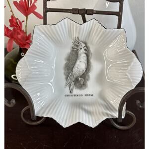 RKG Royal Sydney China Dish Made In Czechoslovakia “Greetings From” Macaw